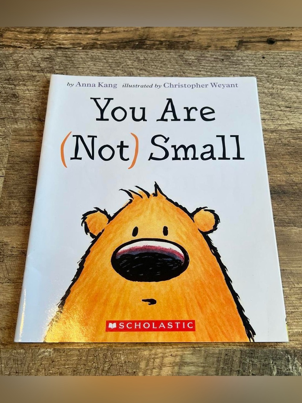 You Are Not Small Paperback Children's Book by Anna Kang